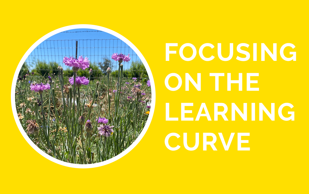 Focusing on the Learning Curve